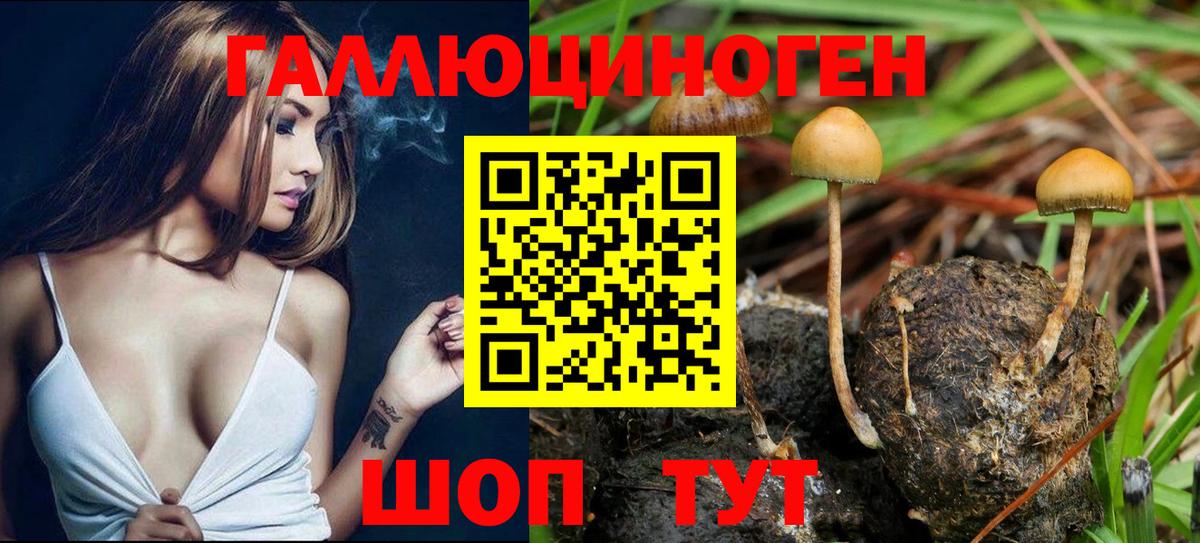 Черемхово  Галлюциногенные грибы прущие грибы  Вход с VPN  Галлюциногенные грибы GOLDEN TEACHER 